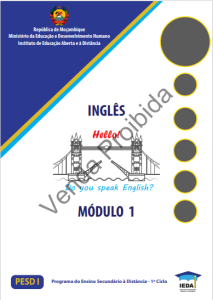 Módulo 1 de Inglês (PESD 1)