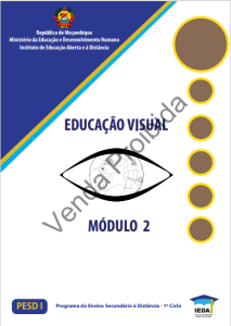 Módulo 2 de Educação Visual (PESD 1)