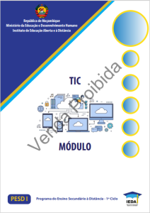 Módulo de TIC (PESD 1)